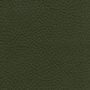 Animal free leather