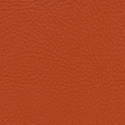 Animal free leather