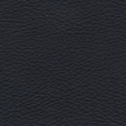 Animal free leather