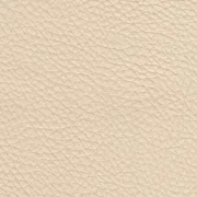 Animal free leather