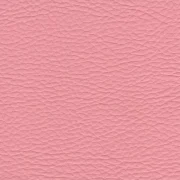Animal free leather