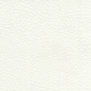 Animal free leather