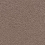 Animal free leather