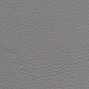 Animal free leather