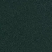 Animal free leather