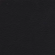 Animal free leather