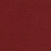 Animal free leather