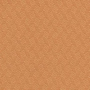 Solid color