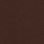 Elasticity-26-6x